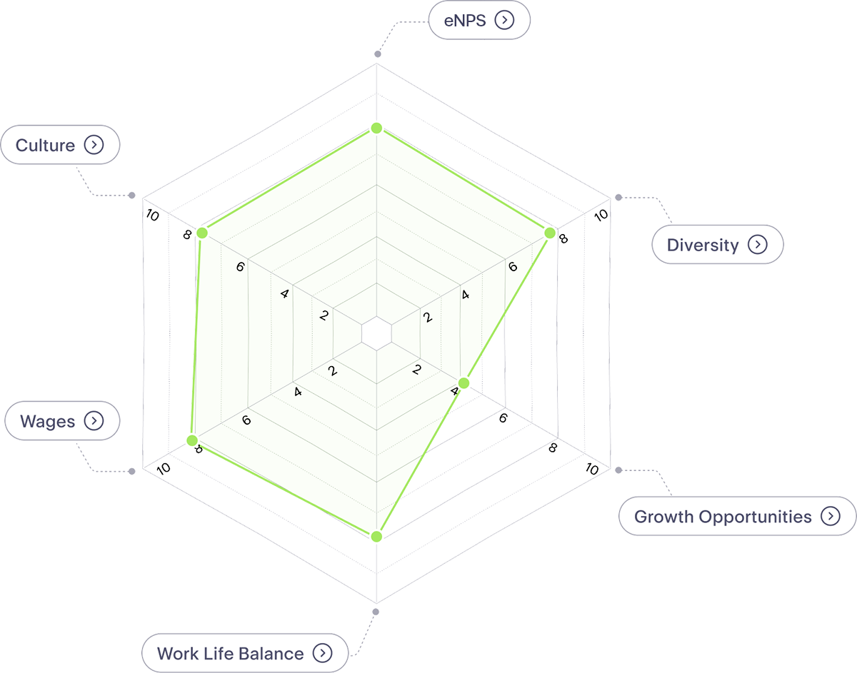 Spiderweb copy