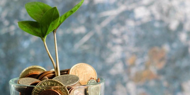 Grön planta som växer uppåt på en bädd av mynt.
