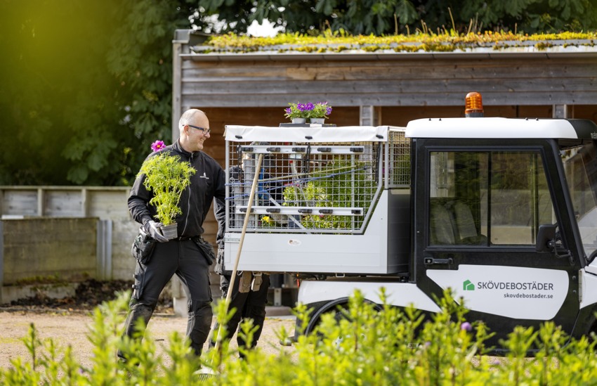 250611 Skövdebostäder Personal Blommor 04